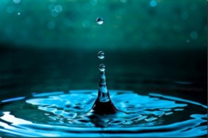 water-day1-500x331